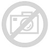 ببب